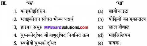 MP Board Class 11th Biology Solutions Chapter 3 वनस्पति जगत - 7
