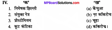 MP Board Class 11th Biology Solutions Chapter 7 प्राणियों में संरचनात्मक संगठन - 15