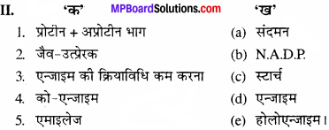 MP Board Class 11th Biology Solutions Chapter 9 जैव अणु - 26