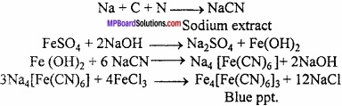 MP Board Class 11th Chemistry Important Questions Chapter 12 Organic Chemistry Some Basic Principles and Tec14