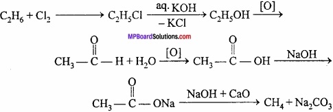 MP Board Class 11th Chemistry Important Questions Chapter 13 Hydrocarbons img 32