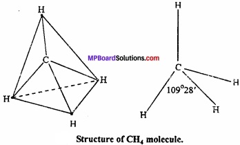 MP Board Class 11th Chemistry Important Questions Chapter 4 Chemical Bonding and Molecular Structure img 23
