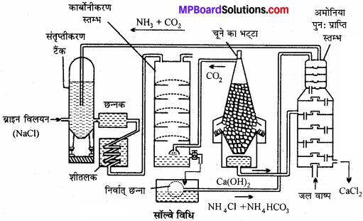 MP Board Class 11th Chemistry Solutions Chapter 10 s-ब्लॉक तत्त्व - 42