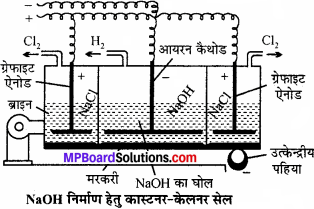 MP Board Class 11th Chemistry Solutions Chapter 10 s-ब्लॉक तत्त्व - 46