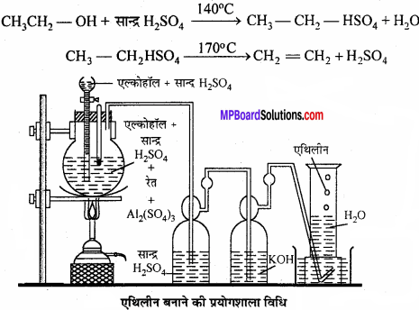 MP Board Class 11th Chemistry Solutions Chapter 13 हाइड्रोकार्बन - 114