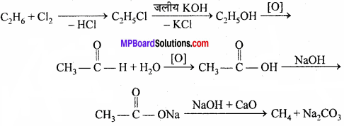 MP Board Class 11th Chemistry Solutions Chapter 13 हाइड्रोकार्बन - 67