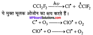 MP Board Class 11th Chemistry Solutions Chapter 14 पर्यावरणीय रसायन - 7