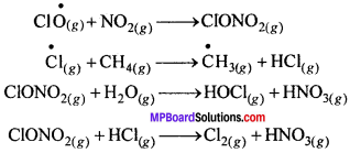 MP Board Class 11th Chemistry Solutions Chapter 14 पर्यावरणीय रसायन - 9