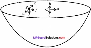 MP Board Class 11th Physics Solutions Chapter 8 गुरुत्वाकर्षण img 4