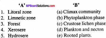 MP Board Class 12th Biology Important Questions Chapter 14 Ecosystem 1