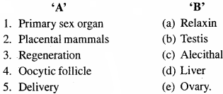 MP Board Class 12th Biology Important Questions Chapter 3 Human Reproduction 2