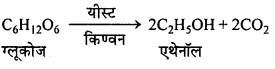 MP Board Class 12th Chemistry Solutions Chapter 11 ऐल्कोहॉल, फीनॉल तथा ईथर - 102