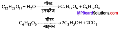 MP Board Class 12th Chemistry Solutions Chapter 11 ऐल्कोहॉल, फीनॉल तथा ईथर - 112