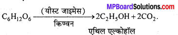 MP Board Class 12th Chemistry Solutions Chapter 11 ऐल्कोहॉल, फीनॉल तथा ईथर - 141