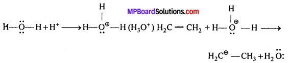 MP Board Class 12th Chemistry Solutions Chapter 11 ऐल्कोहॉल, फीनॉल तथा ईथर - 36