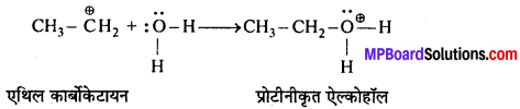 MP Board Class 12th Chemistry Solutions Chapter 11 ऐल्कोहॉल, फीनॉल तथा ईथर - 37