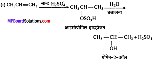 MP Board Class 12th Chemistry Solutions Chapter 11 ऐल्कोहॉल, फीनॉल तथा ईथर - 56