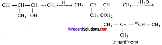 MP Board Class 12th Chemistry Solutions Chapter 11 ऐल्कोहॉल, फीनॉल तथा ईथर - 85