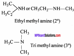 MP Board Class 12th Chemistry Solutions Chapter 13 Amines - 101