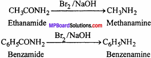 MP Board Class 12th Chemistry Solutions Chapter 13 Amines - 23