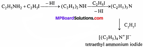 MP Board Class 12th Chemistry Solutions Chapter 13 Amines - 32