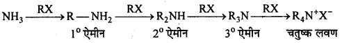 MP Board Class 12th Chemistry Solutions Chapter 13 ऐमीन - 103