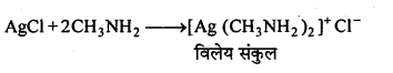 MP Board Class 12th Chemistry Solutions Chapter 13 ऐमीन - 105