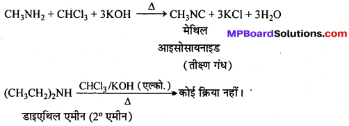 MP Board Class 12th Chemistry Solutions Chapter 13 ऐमीन - 11