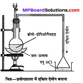 MP Board Class 12th Chemistry Solutions Chapter 13 ऐमीन - 120