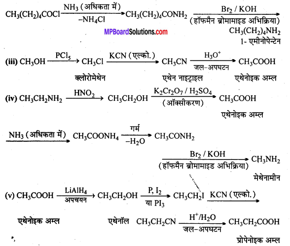 MP Board Class 12th Chemistry Solutions Chapter 13 ऐमीन - 23