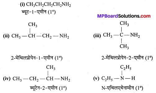 MP Board Class 12th Chemistry Solutions Chapter 13 ऐमीन - 3