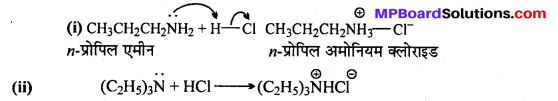 MP Board Class 12th Chemistry Solutions Chapter 13 ऐमीन - 6