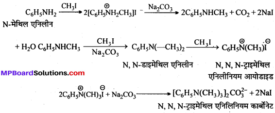 MP Board Class 12th Chemistry Solutions Chapter 13 ऐमीन - 7
