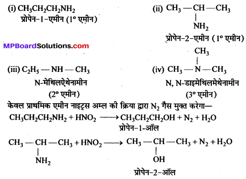 MP Board Class 12th Chemistry Solutions Chapter 13 ऐमीन - 9