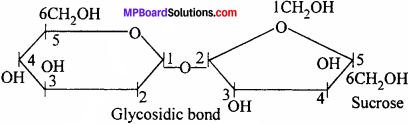 MP Board Class 12th Chemistry Solutions Chapter 14 Biomolecules - 23