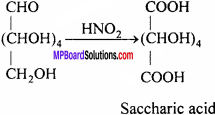 MP Board Class 12th Chemistry Solutions Chapter 14 Biomolecules - 9