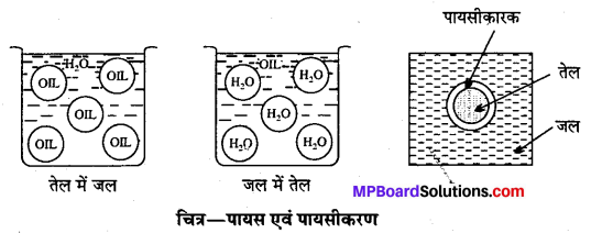 MP Board Class 12th Chemistry Solutions Chapter 5 पृष्ठ रसायन - 13