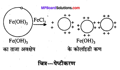 MP Board Class 12th Chemistry Solutions Chapter 5 पृष्ठ रसायन - 33