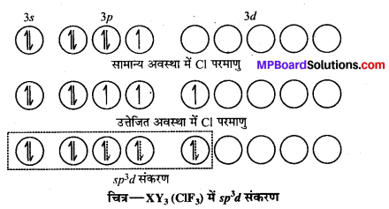 MP Board Class 12th Chemistry Solutions Chapter 7 p-ब्लॉक के तत्त्व - 74