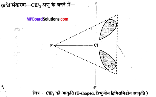 MP Board Class 12th Chemistry Solutions Chapter 7 p-ब्लॉक के तत्त्व - 75
