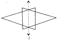 MP Board Class 6th Maths Solutions Chapter 13 Symmetry Ex 13.1 15