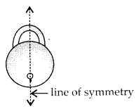 MP Board Class 6th Maths Solutions Chapter 13 Symmetry Ex 13.1 3