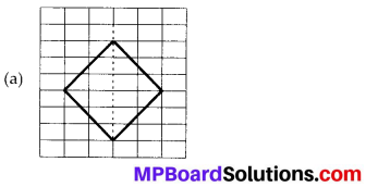 MP Board Class 6th Maths Solutions Chapter 13 Symmetry Ex 13.1 9
