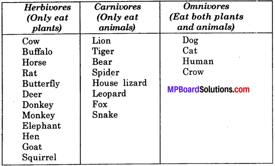 Mp Board Class 6th Science Solution Food: Where Does it Come From?