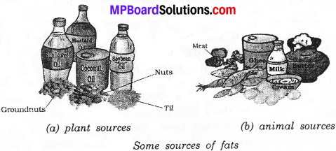 MP Board Class 6th Science Solutions Chapter 2 Components of Food img 12