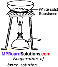 MP Board Class 6th Science Solutions Chapter 5 Separation of Substances img 10