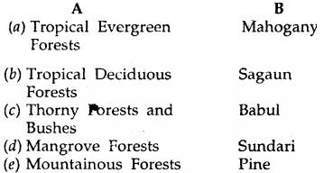 MP Board Class 6th Social Science Solutions Chapter 24 Natural Vegetations and Animals in India 2
