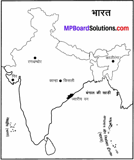MP Board Class 6th Social Science Solutions Chapter 24 भारत की प्राकृतिक वनस्पति एवं जीव-जन्तु img 4