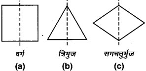 MP Board Class 7th Maths Solutions Chapter 14 सममिति Ex 14.1 image 5