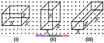 MP Board Class 7th Maths Solutions Chapter 15 ठोस आकारों का चित्रण Ex 15.2 image 2
